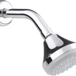 Regadera De Cebolla Sencilla Acabado En Cromo Marca URREA 3007B